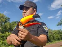 Policías de Misiones resc