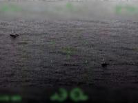 Los veleros desaparecidos