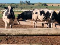 Un informe del OCLA: Arge