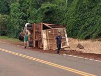 Siniestro vial: Camión de