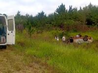 Misiones: Despiste y vuel