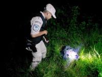 Misiones: Prefectura Nava