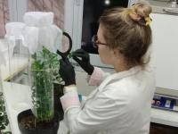 Del laboratorio a la empr