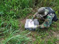 Misiones: Prefectura Nava