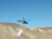 ¿Cómo es el apoyo del Ejé