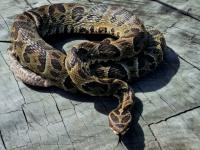 Alerta en la provincia de