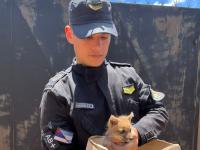 Apóstoles: Una mujer enco