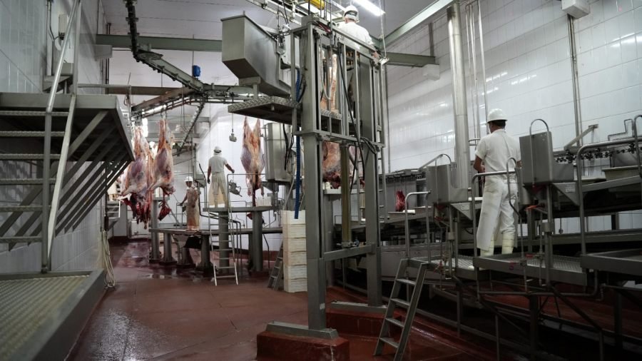 El Municipio de Apóstoles impulsa un sistema de faena seguro, accesible y con control sanitario