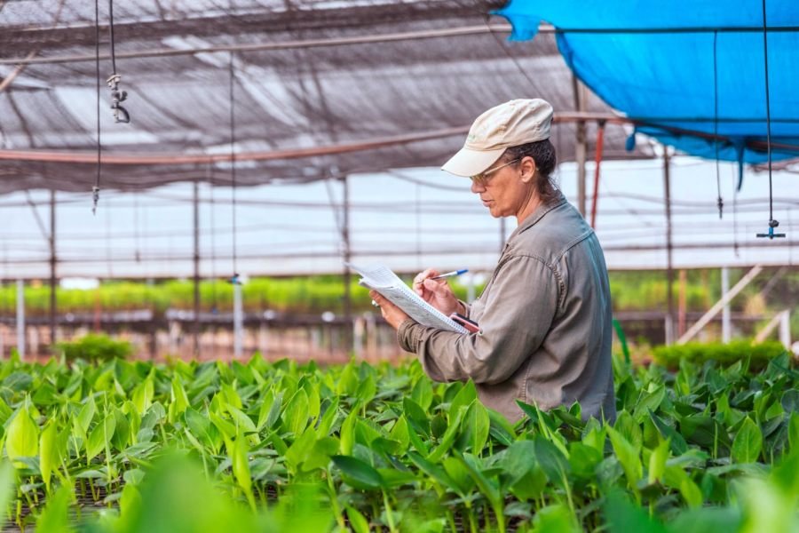 Biofábrica Misiones: Más del 80% de los puestos jerárquicos son ocupados por mujeres