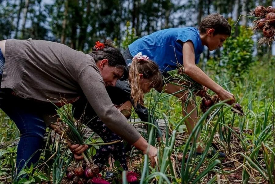 Con más de cincuenta comercios adheridos, y otros en proceso de adhesión, esta semana entra en vigencia el Programa Provincial Ahora Chacra para apoyar al agro misionero