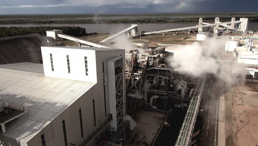 La liquidación de divisas cayó fuerte en Febrero y los agroexportadores apuntaron contra el gremio aceitero