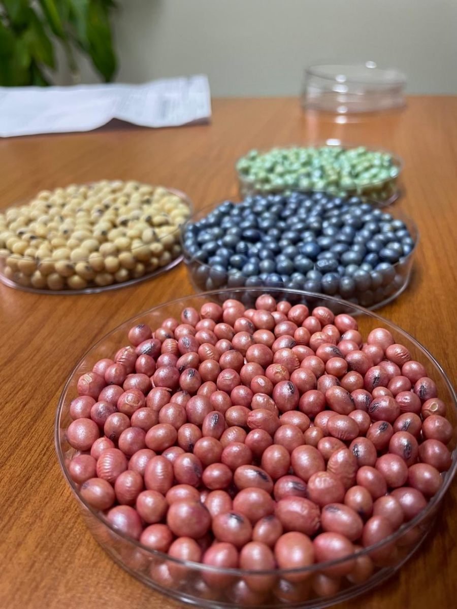 Coinoculación y tratamiento acelerado: Los conceptos del año en biológicos