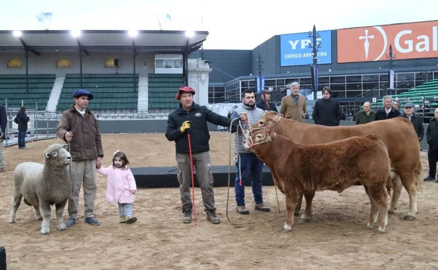 “De Paul”, “Tini Tini” y “Tim Payne” en la ferial de Palermo, los primeros animales ya están en la Expo Rural 2026