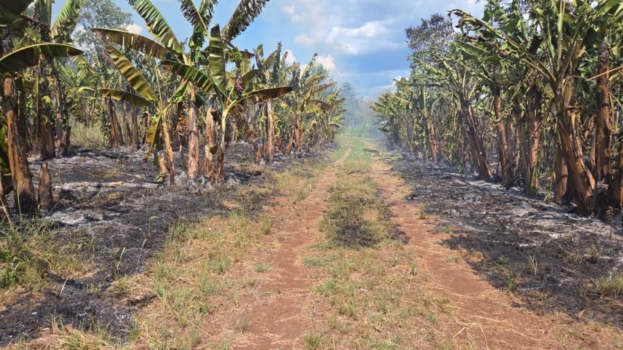 Almafuerte: Sofocaron un incendio, personal policial trabajó para extinguir las llamas, logrando controlar la situación y evitar su propagación