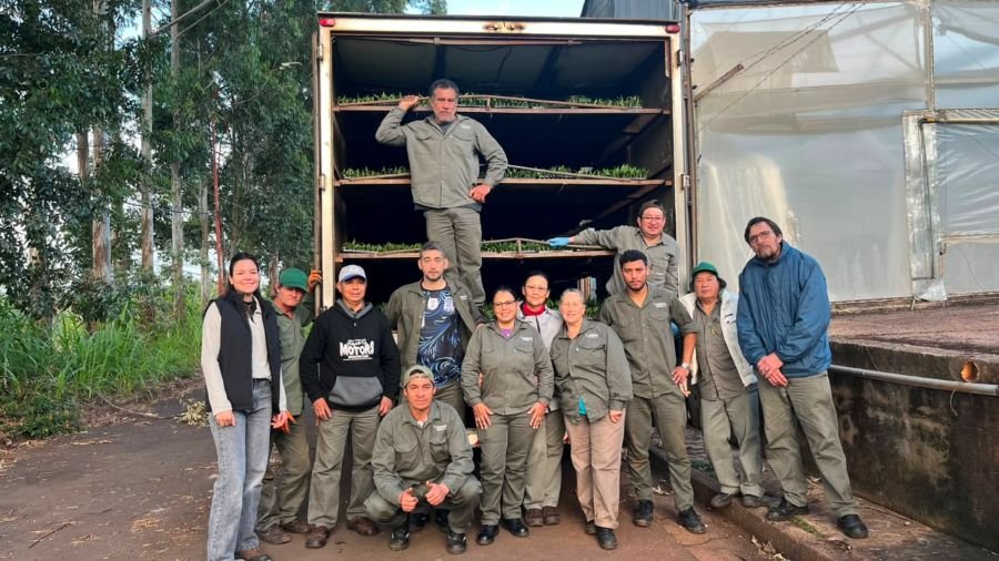 Biofábrica Misiones consolida su proyección nacional con un nuevo envío de plantines de banano