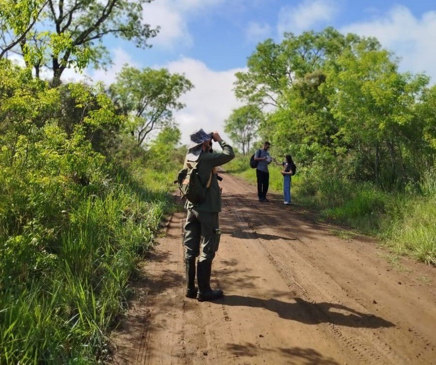 La provincia de Misiones se suma al Gran Día de Observación de Aves 2026: La propuesta se realiza dos veces al año