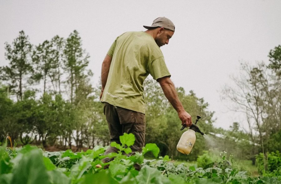La ciencia misionera desarrolla una nueva generación de Bioinsumos adaptados a las necesidades de cada cultivo