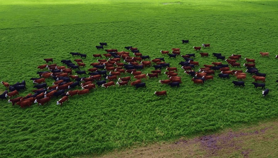 El “delirio” de la tasa al metano de la Diputada K Lucía Klug: Una respuesta con datos y base científica