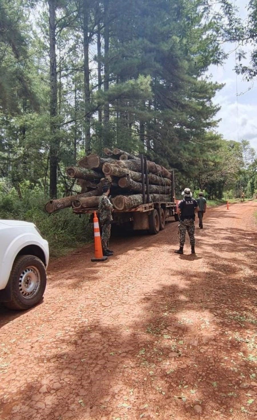 Misiones: Segunda carga de madera nativa incautada por la Policía Provincial en menos de 24 horas, eran transportados sin la correspondiente guía forestal