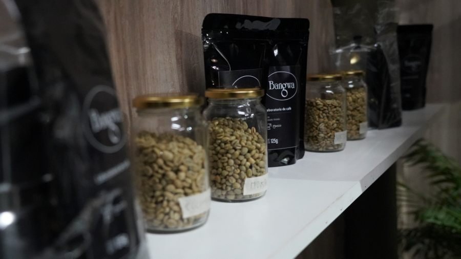 El Municipio de Apóstoles apuesta a la innovación productiva con el primer café de especialidad misionero