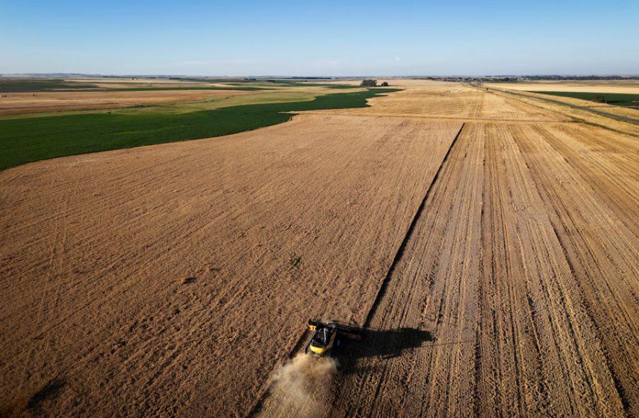 La actividad económica repuntó en Marzo tras la fuerte caída de Febrero, según un informe privado