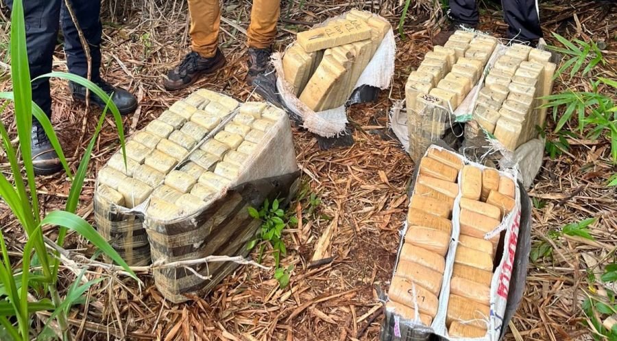 Ocultaban más de cien kilos de marihuana en un tacuaral, la Policía de Misiones la halló durante una búsqueda