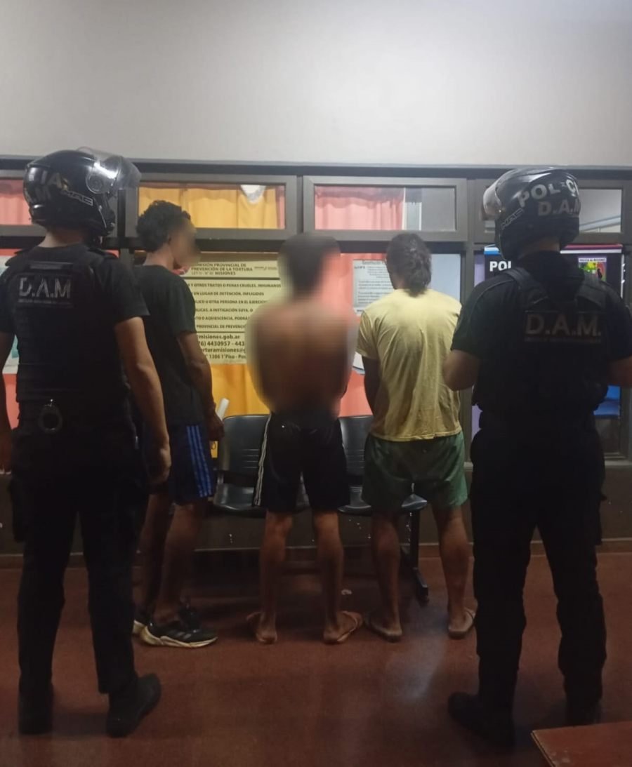 Misiones: Seguidilla de operativos policiales dejó a varios detenidos y elementos robados recuperados