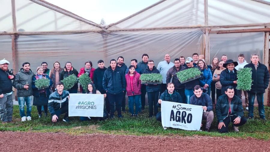 Comenzó la producción de tomate bajo invernadero en 55 chacras tabacaleras de Misiones