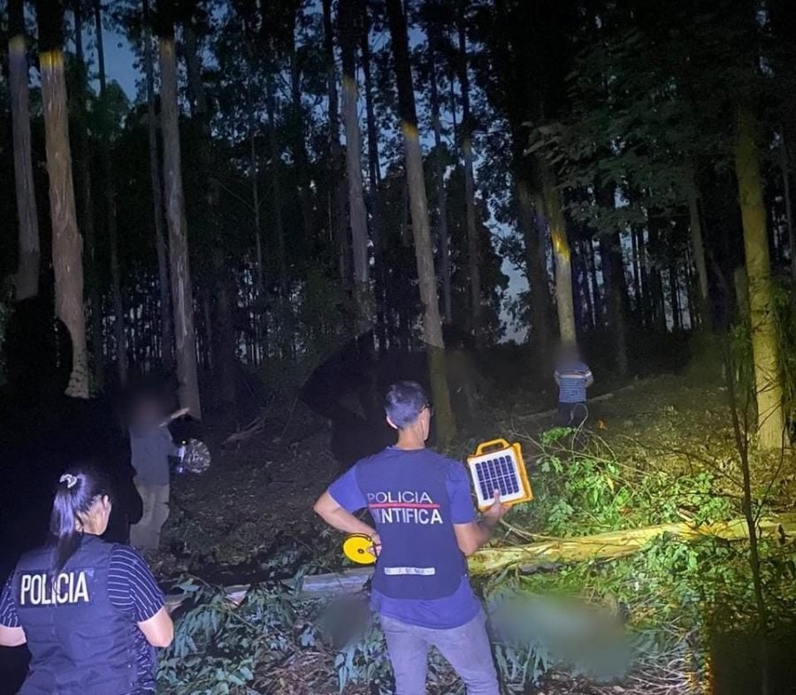 Murió un trabajador de 34 años al ser golpeado por un eucaliptus durante tareas de obraje en el municipio misionero de Ruíz de Montoya