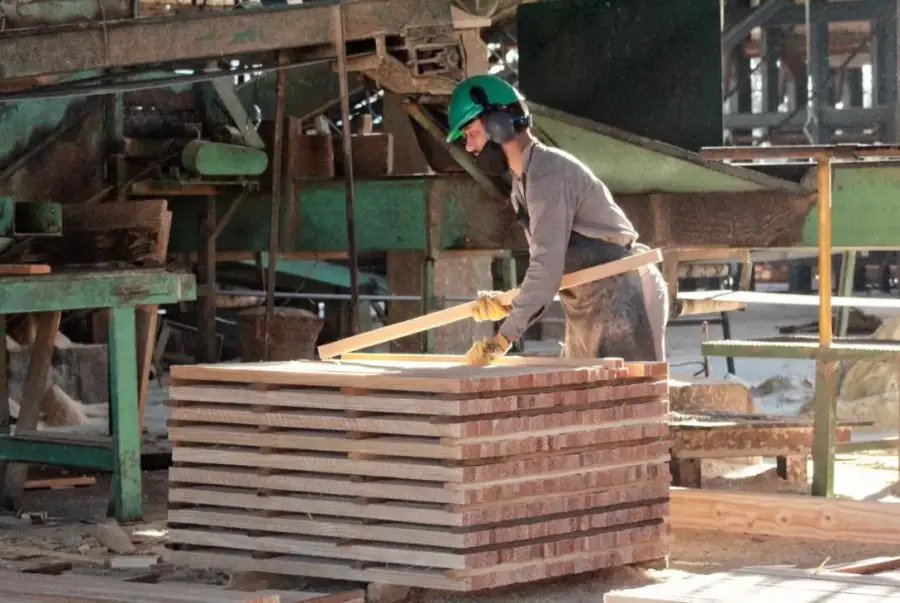 Misiones: Crisis en las PyMEs madereras, la caída de la construcción golpea a la foresto industria