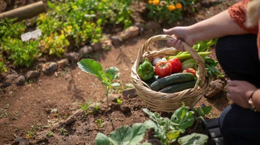 Apóstoles: Charla sobre la huerta para fortalecer el comercio local, se realizará en la tarde de este 14 de Mayo en la Expo Yerba