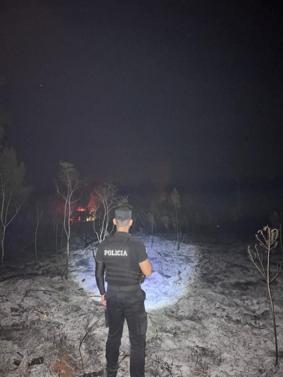 Principio de incendio en una plantación de pinos en el Municipio misionero de Aristóbulo del Valle, continúan las tareas para determinar cómo se originó el fuego