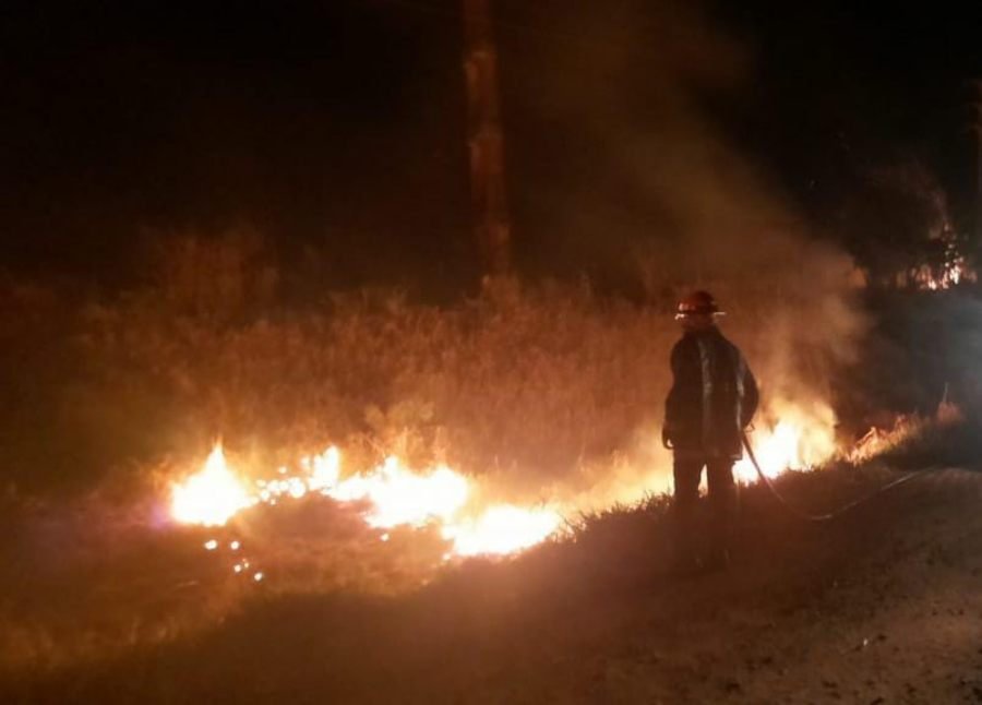 Santa Ana: Incendio de malezas, efectivos policiales y bomberos, quienes trabajaron en conjunto para extinguir las llamas