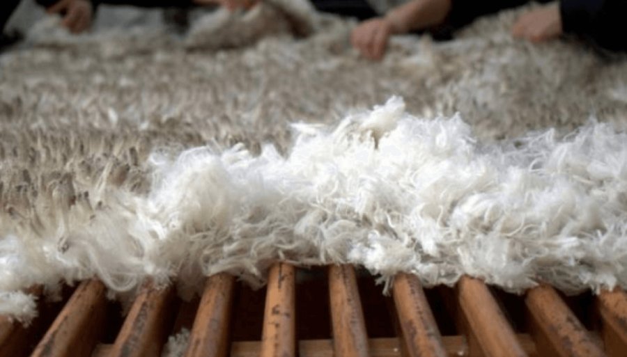 De la esquila al mundo: Una medida oficial abre más oportunidades para las exportaciones de lana