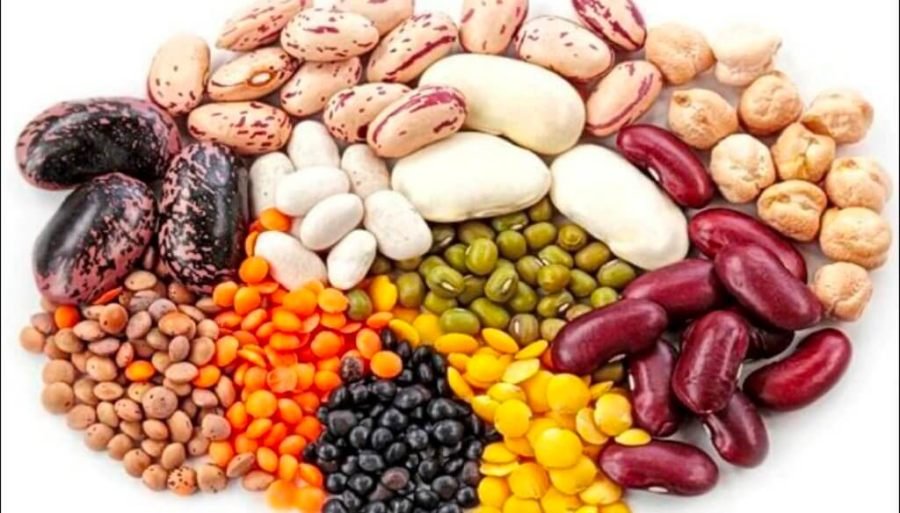 Cosecha 2025/26: Las legumbres anotan su poroto para que el agro argentino siga haciendo historia