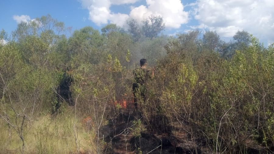 Posadas: Incendio de malezas fue controlado, dejando la zona fuera de peligro, sin registrarse daños materiales ni personas lesionadas