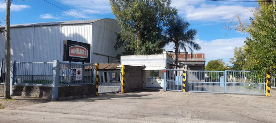 Lumilagro cambió de estrategia tras desvincular 170 empleados en 2025: “Estamos importando de China”