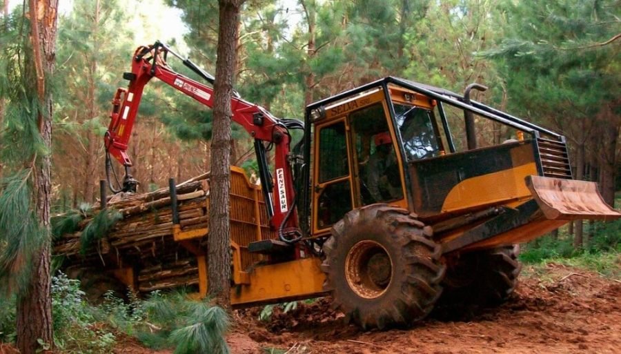 Industria de la madera: Un sector que se “amolda” y muestra señales de estabilización