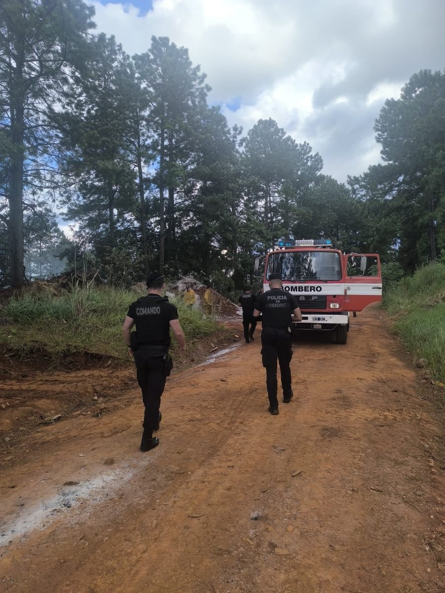 Incendio de malezas sobre la banquina de la Ruta Nacional N° 14 fue controlado en el Municipio misionero de Dos de Mayo