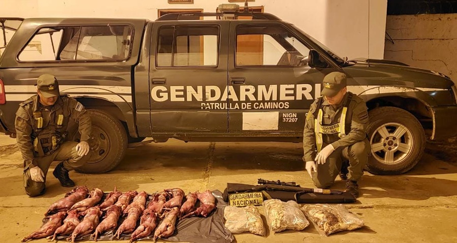 Actividad ilegal de caza en Curuzú Cuatiá, parte de la carne secuestrada ya había sido cocida