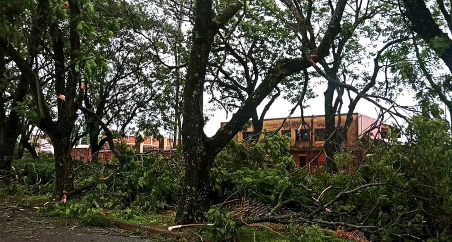 Apóstoles: En la madrugada del día viernes un tremendo temporal provocó caídas de árboles, cartelerías y tendido eléctrico