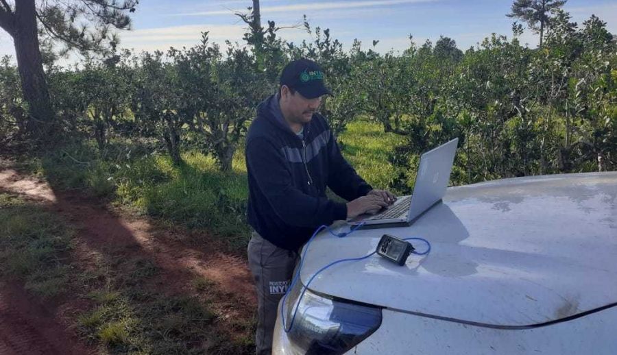 El INYM creó el primer mapa interactivo de yerba mate de la Argentina