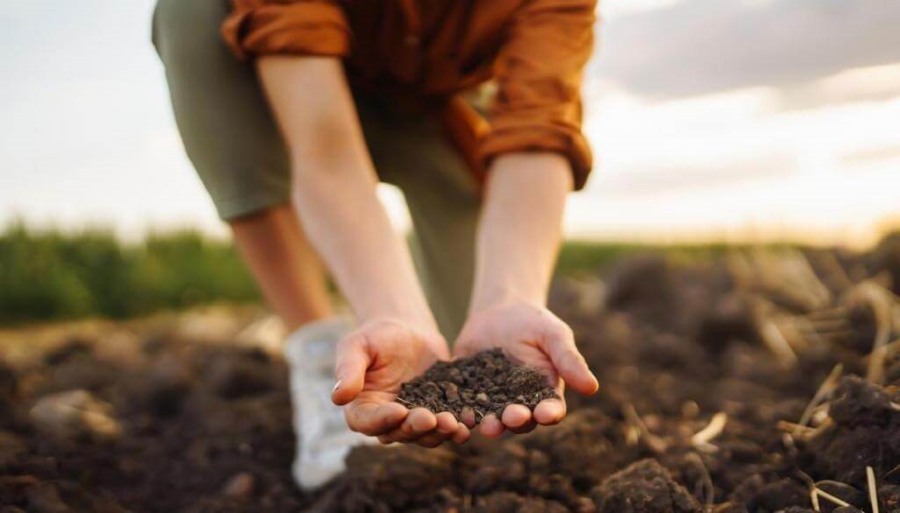Sustentabilidad: En el campo argentino, reducir la huella de carbono ya es una “especialidad”