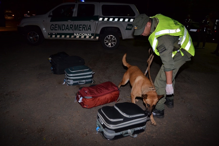 Personal de Gendarmería Nacional lograron la incautación de estupefacientes que pretendía ser trasladado en dos valijas de equipaje en un transporte de pasajeros