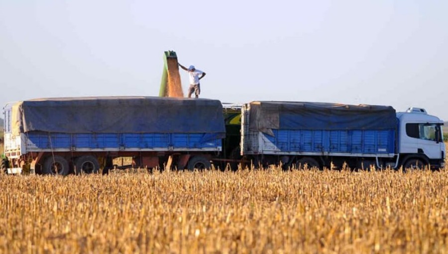 El Gobierno Nacional formalizó la baja temporal de retenciones para granos y su eliminación en economías regionales
