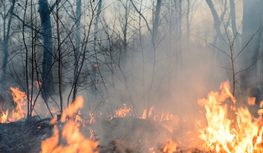 Alerta por incendios: La Municipalidad de la ciudad misionera de Posadas insta a extremar las medidas de precaución, prevención y responsabilidad ante las altas temperaturas