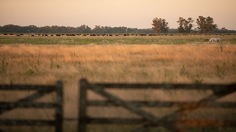El 59% de la renta en el campo se va en impuestos