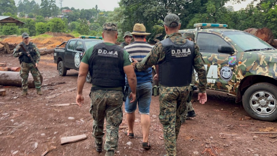 Misiones: Detienen al dueño de un aserradero en el que encontraron madera nativa que habría sido robada en el Parque Provincial Piñalito