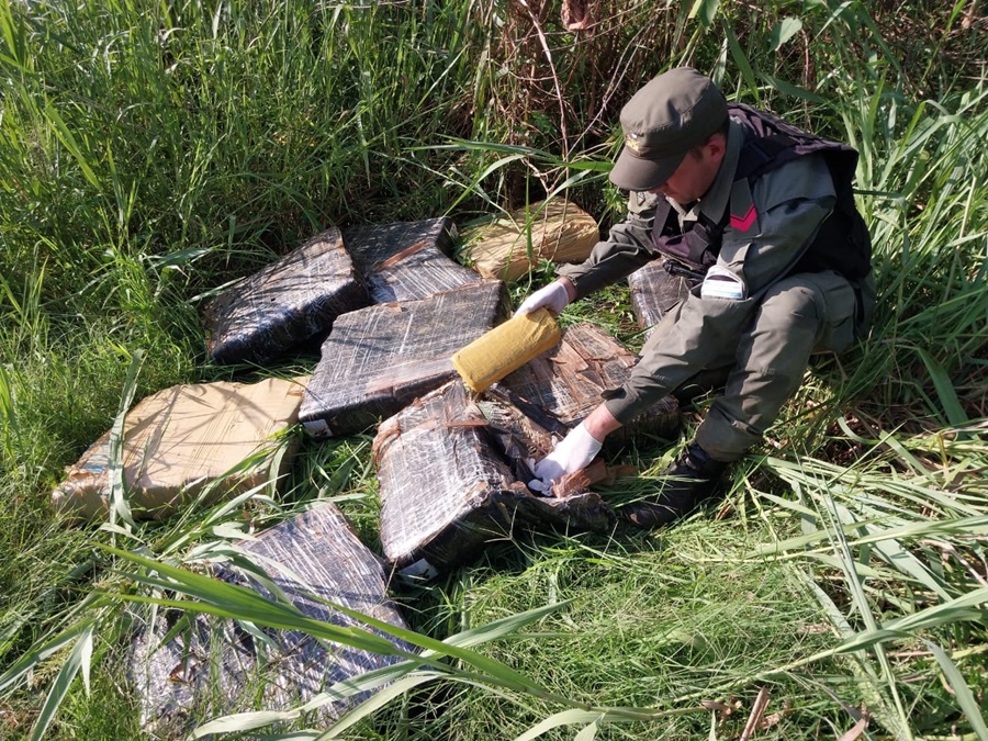 Misiones: Gendarmes lograron la incautación de ciento ochenta y un kilos de marihuana, fue Colonia Mado