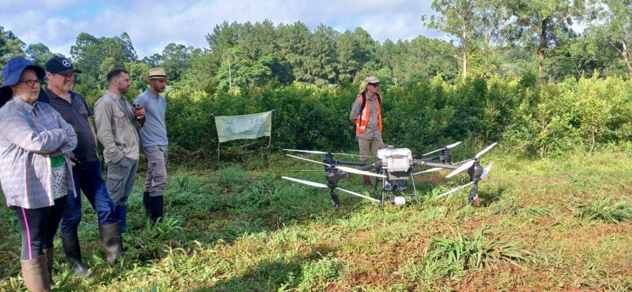 Demostración de uso de drones para aplicaciones foliares